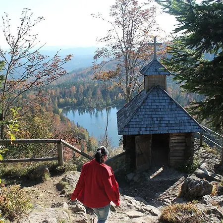 Διαμέρισμα Ferienwohnung-frisch Grafenau (Bavaria)